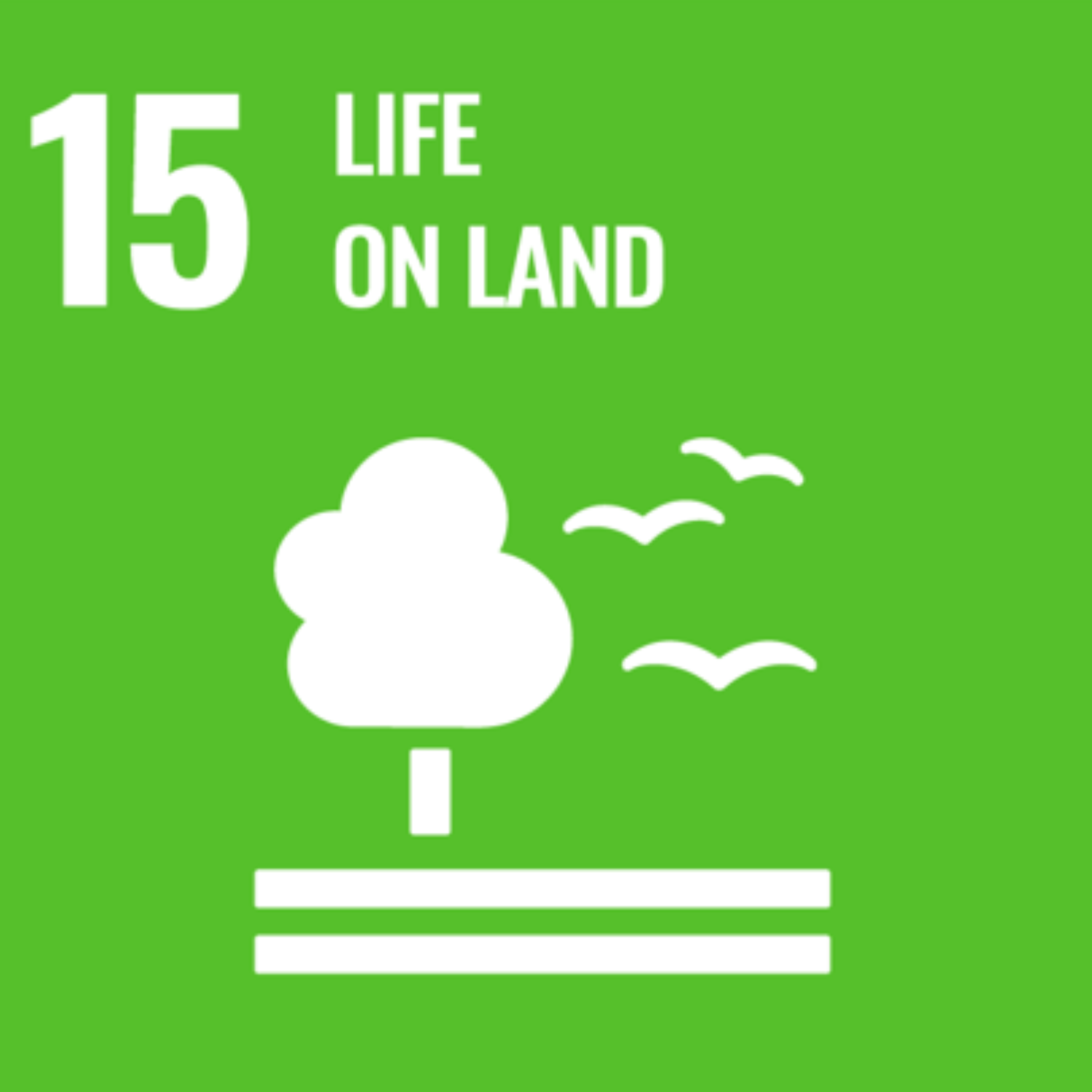 SDG15