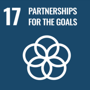 SDG17