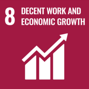 SDG8