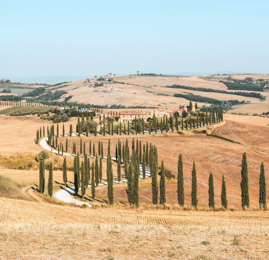 Tuscan countryside with cypress trees and golden fields – agriculture in Italy innovation sustainability and market opportunities
